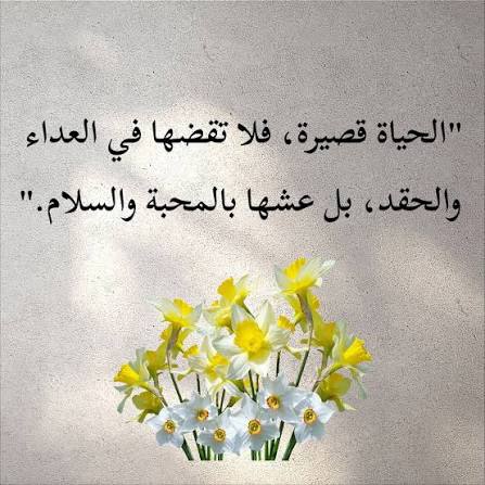 الحياه قصيره عشها بسلام و حب🤍